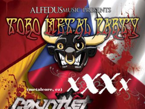 TORO METAL PARTY - info