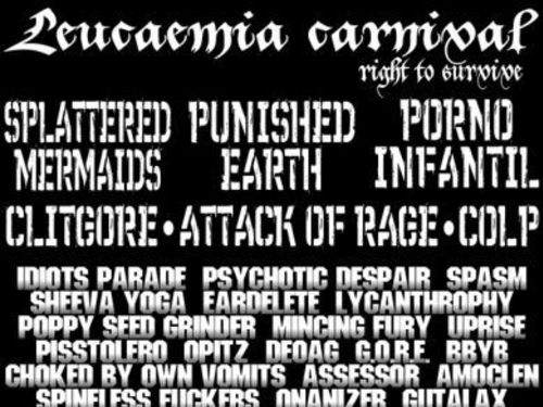 Leucaemia carnival open air - info