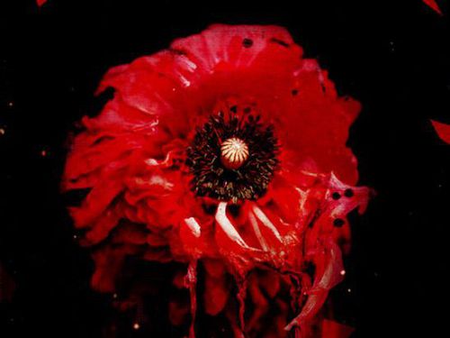 LEPROUS – Tall Poppy Syndrome