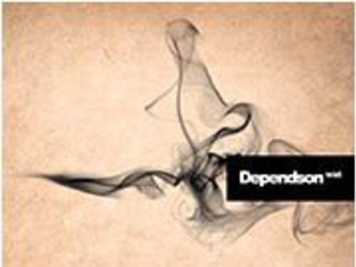 DEPENDSON – Mist