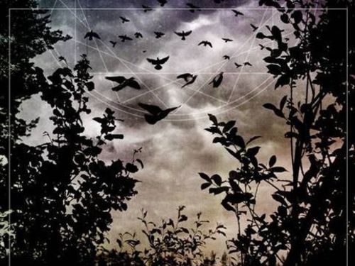 INSOMNIUM &#8211; One For Sorrow