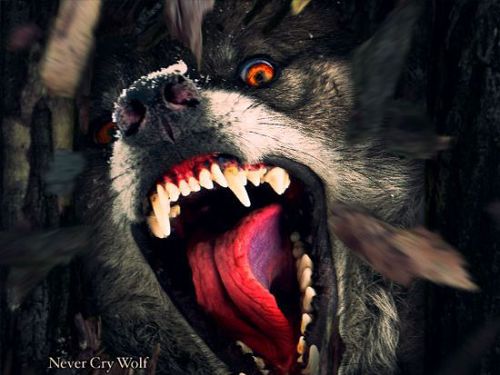 LORD VOLTURE – Never Cry Wolf