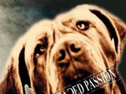 PETER KRESTA – Damaged Passion