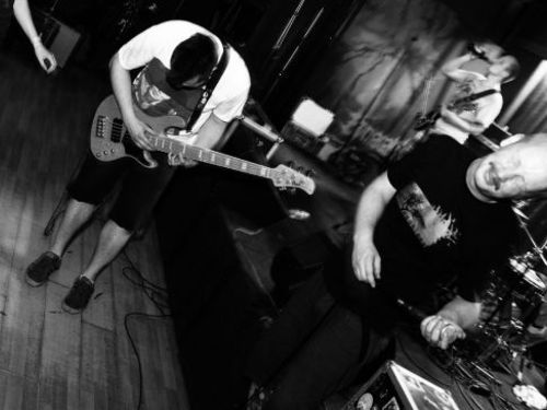 THE PSYKE PROJECT, DELUSION, BORN AGAIN, RATS GET FAT, ANIME TORMENT