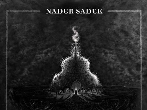 NADER SADEK &#8211; In the Flesh