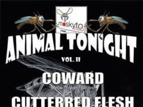 F.O.B., COWARD, PIKODEATH, CUTTERRED FLESH