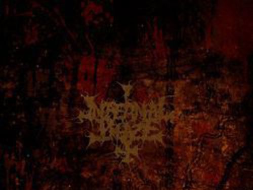 INFERNAL BLAZE – Veiled Signals
