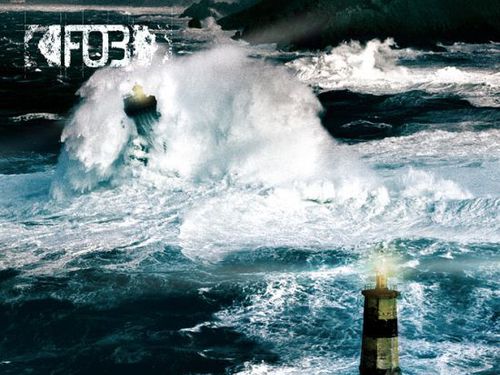 F.O.B. – Reap What You Sow