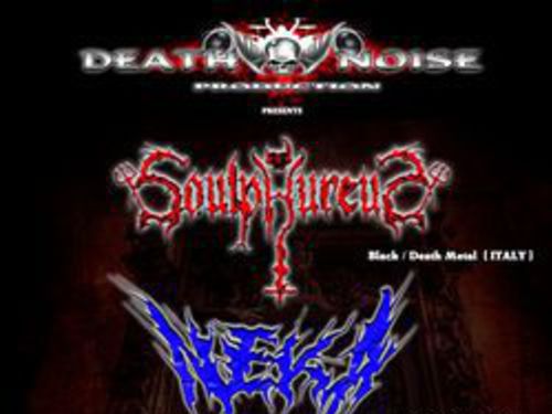 NEKA + SOULPHULERUS Tour 2014 - info