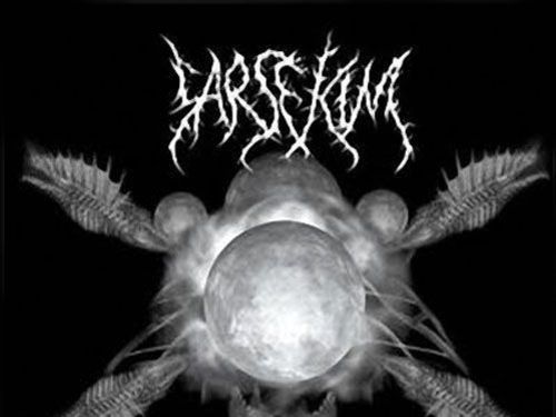 SARSEKIM &#8211; Fathom the Spheres