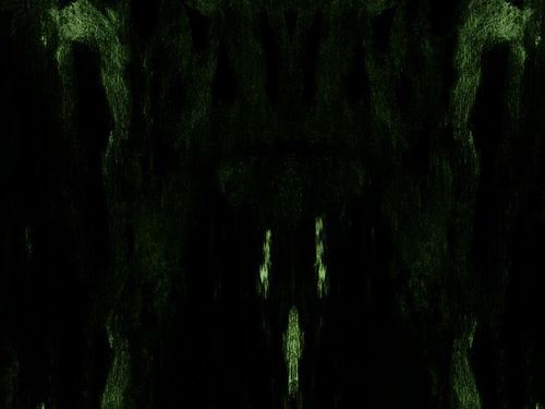 IMPETUOUS RITUAL &#8211; Unholy Congregation of Hypocritical Ambivalence