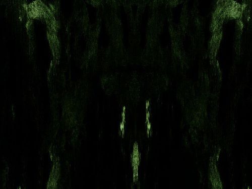 IMPETUOUS RITUAL – Unholy Congregation of Hypocritical Ambivalence