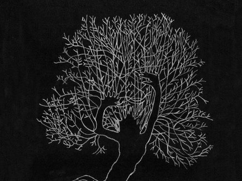 SLEGEST – Løyndom