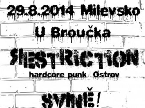 RESTRICTION, SVINĚ!, LOOSERS - info