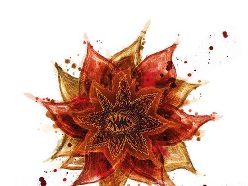 THE SNUFF – Lotus