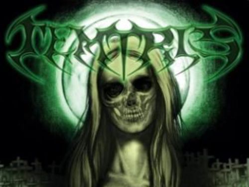 TEMTRIS – Shallow Grave