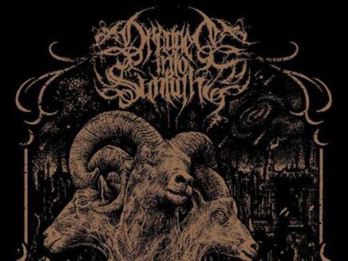 DRAGGED INTO SUNLIGHT (UK), SGRA, LOVCI LEBEK - info