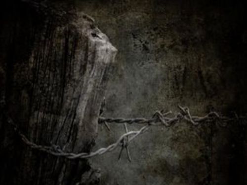 DEPRESSIVE WINTER – Nihillum Bellus
