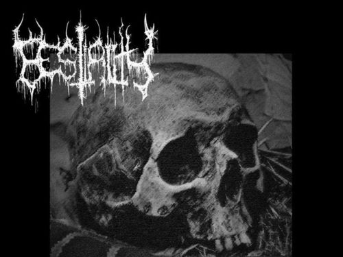 BESTIALITY – Stuck In Bestial Vison