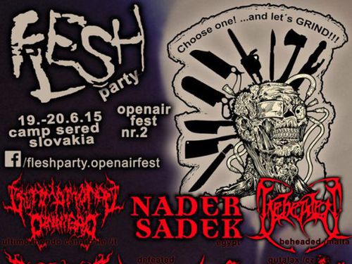 FLESH PARTY OPEN AIR FEST 2015 - info