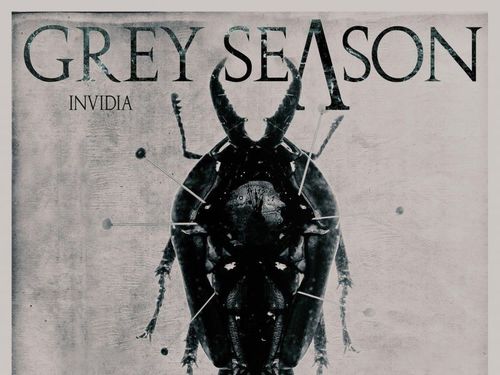 GREY SEASON – Invidia