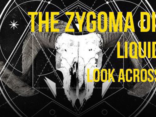 THE ZYGOMA DISPOSAL (BEL), LIQUID SPACE 9 a LOOK ACROSS THE RIVER první srpnový den v pražském Exit-u - info