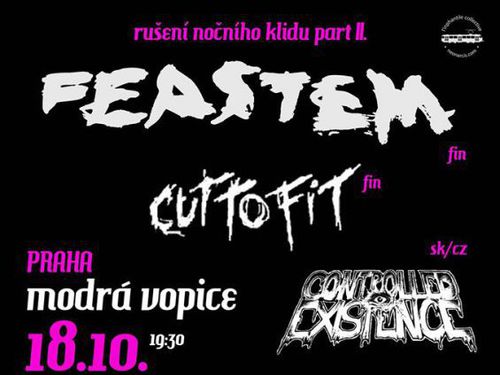FEASTEM, CUT TO FIT, CONTROLLED EXISTENCE - info