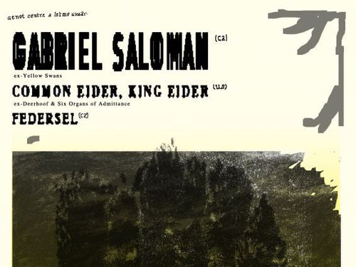 GABRIEL SALOMAN (CA), COMMON EIDER, KING EIDER (US), FEDERSEL(CZ) – info