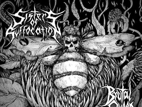 SISTERS OF SUFFOCATION – Brutal Queen