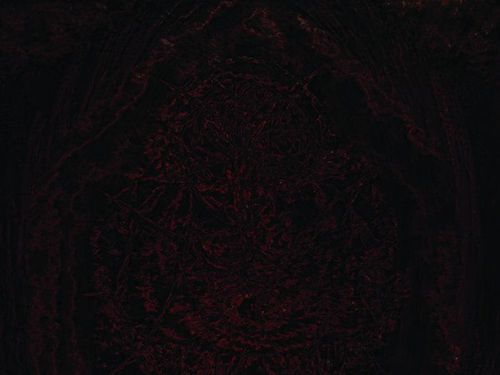 IMPETUOUS RITUAL &#8211; Blight upon Martyred Sentience