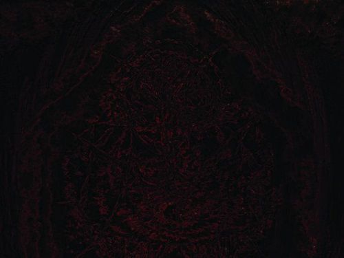 IMPETUOUS RITUAL – Blight upon Martyred Sentience