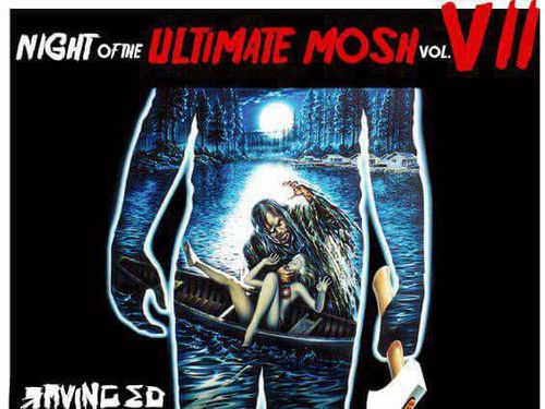 NIGHT OF THE ULTIMATE MOSH VII, 13. 10. 2017, Blatná &#8211; Hospoda na Vinici