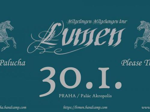 LVMEN, PLEASE THE TREES, TOMÁŠ PALUCHA – info