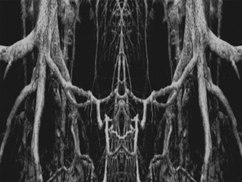 ZATOKREV – Zatokrev