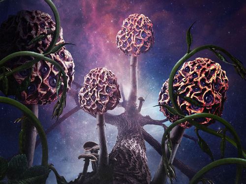 BLUT AUS NORD – Hallucinogen
