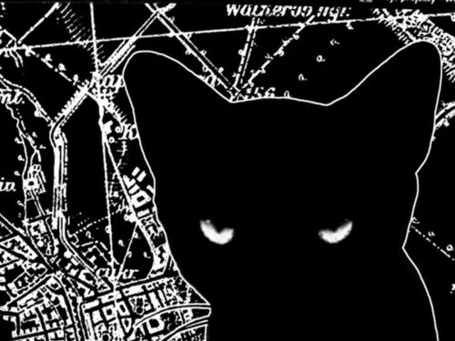THE WILDERNESS – III