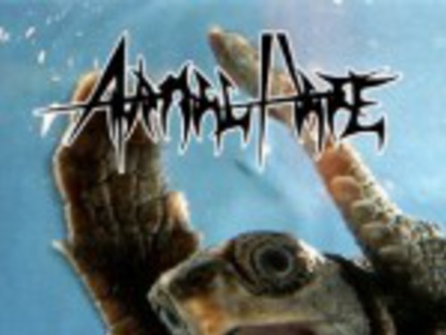 ANIMAL HATE - Bestial Hate