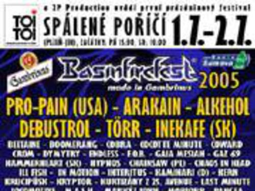 ANKETA MEZI POŘADATELI LETNÍCH FESTIVALŮ 2005 - BASINFIREFEST