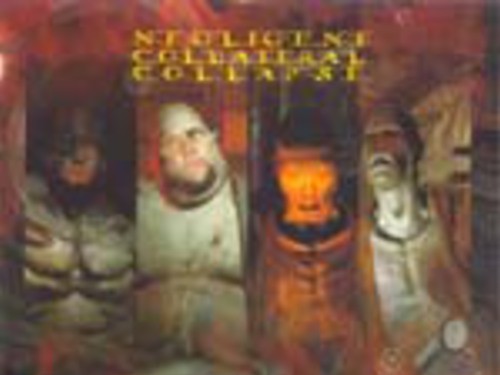 NEGLIGENT COLLATERAL COLLAPSE - Paranormal Nanodivision