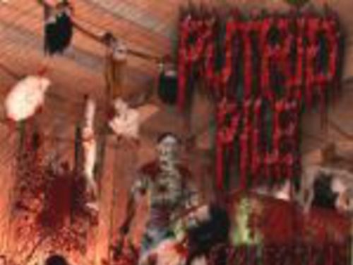 PUTRID PILE - Collection Of Butchery