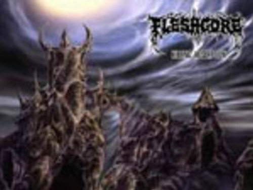 FLESHGORE - Killing Absorption