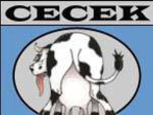 Cecek - ANKETA MEZI ČESKÝMI VYDAVATELI - rok 2004