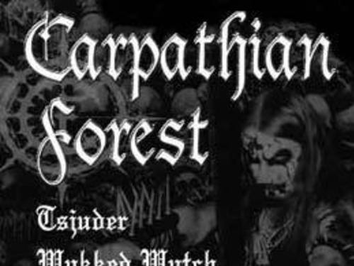 Noční můra s názvem Carpathian Forrest